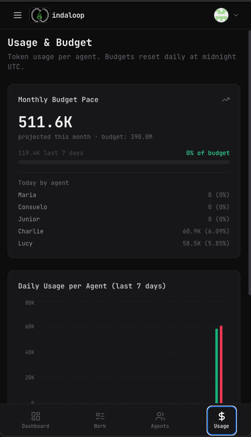 InDaLoop mobile Usage and Budget screen showing LLM token usage and cost controls by agent